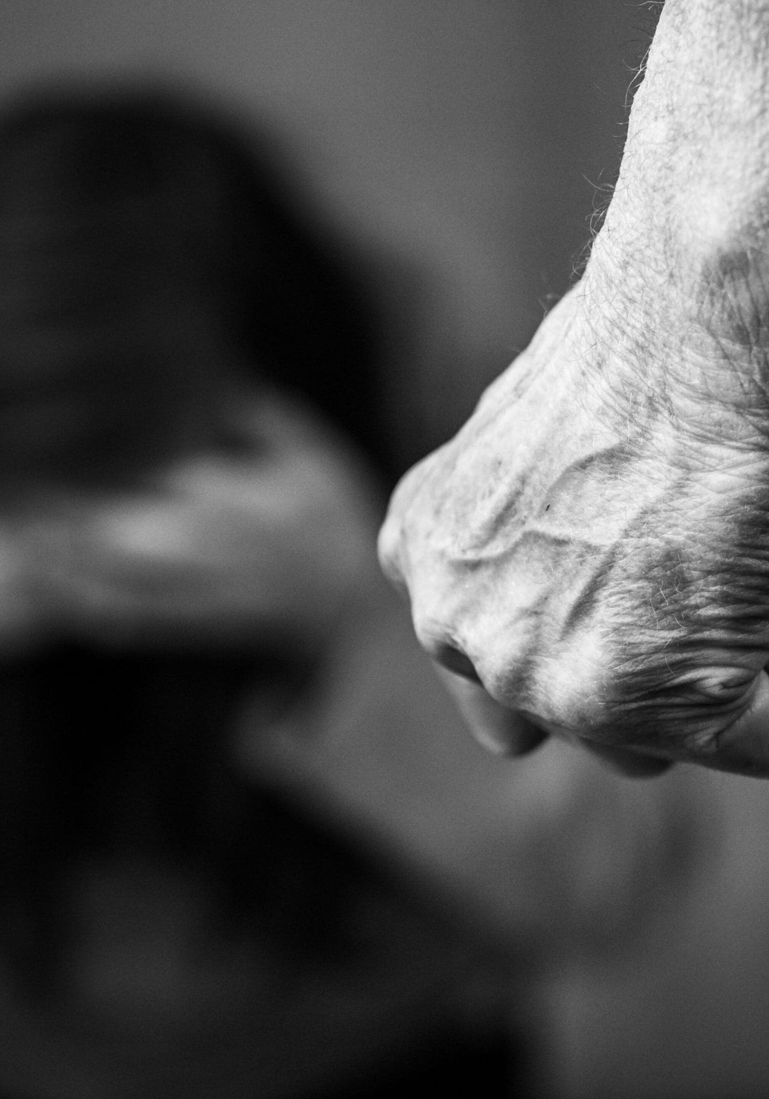 Domestic violence man against woman clenched fist black and white image